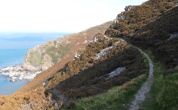 A narrow path through heather as Tracey walks the UK Coast Path